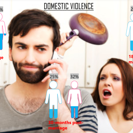 domestic-violence-study-US